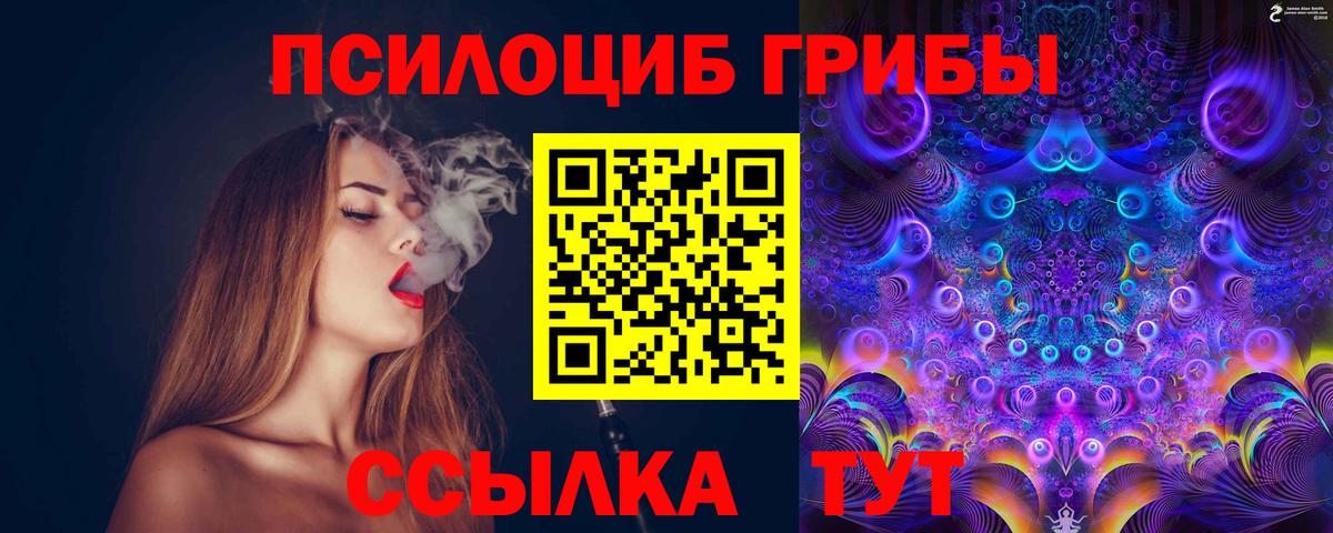 Галлюциногенные грибы Psilocybe  Вход с VPN  как найти закладки  Ейск 